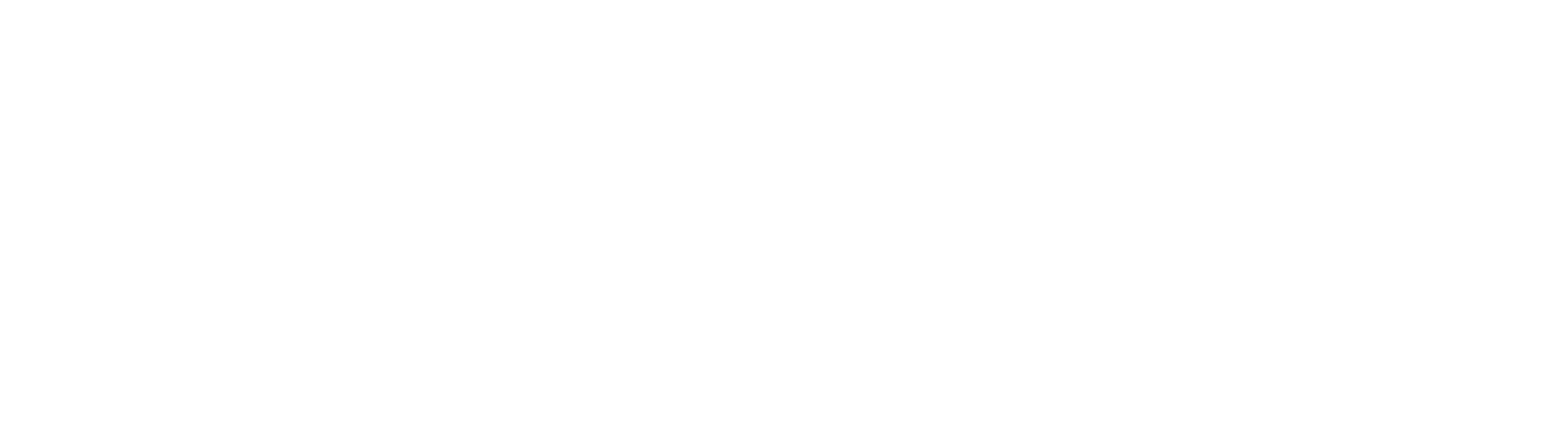 Metriport Logo White